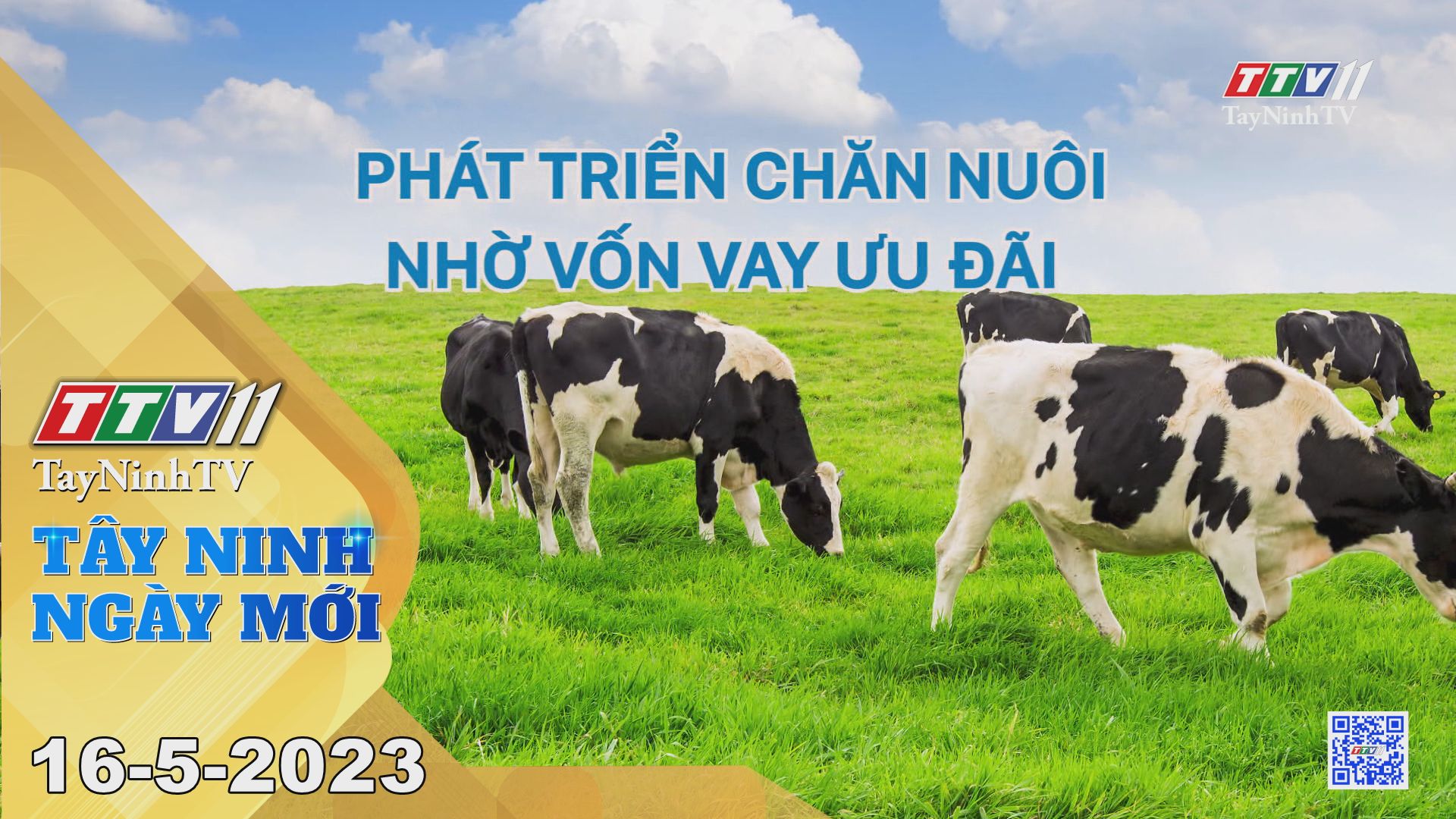 Tây Ninh ngày mới 16-5-2023 | Tin tức hôm nay | TayNinhTV